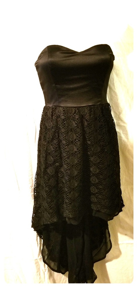 Silk/lace highlow dress